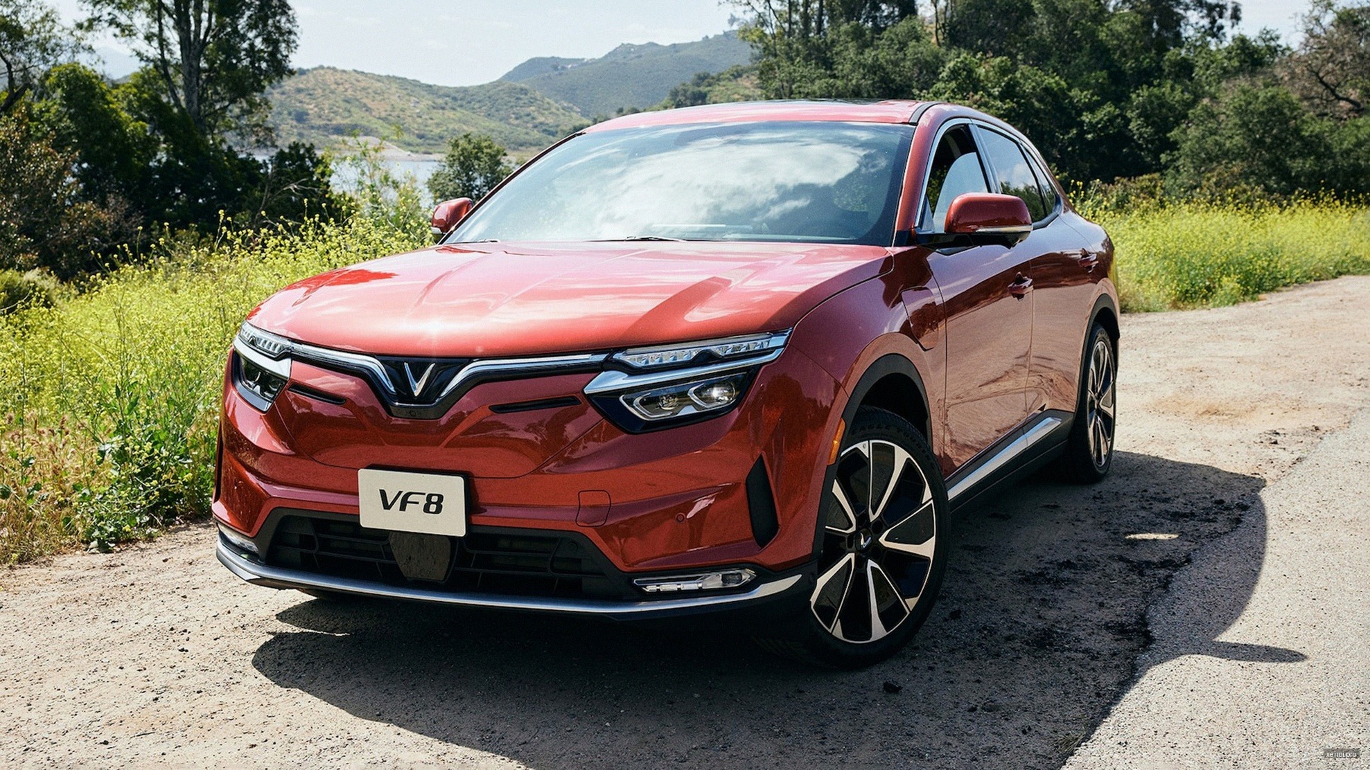 Nissan Sunny XL - 2019