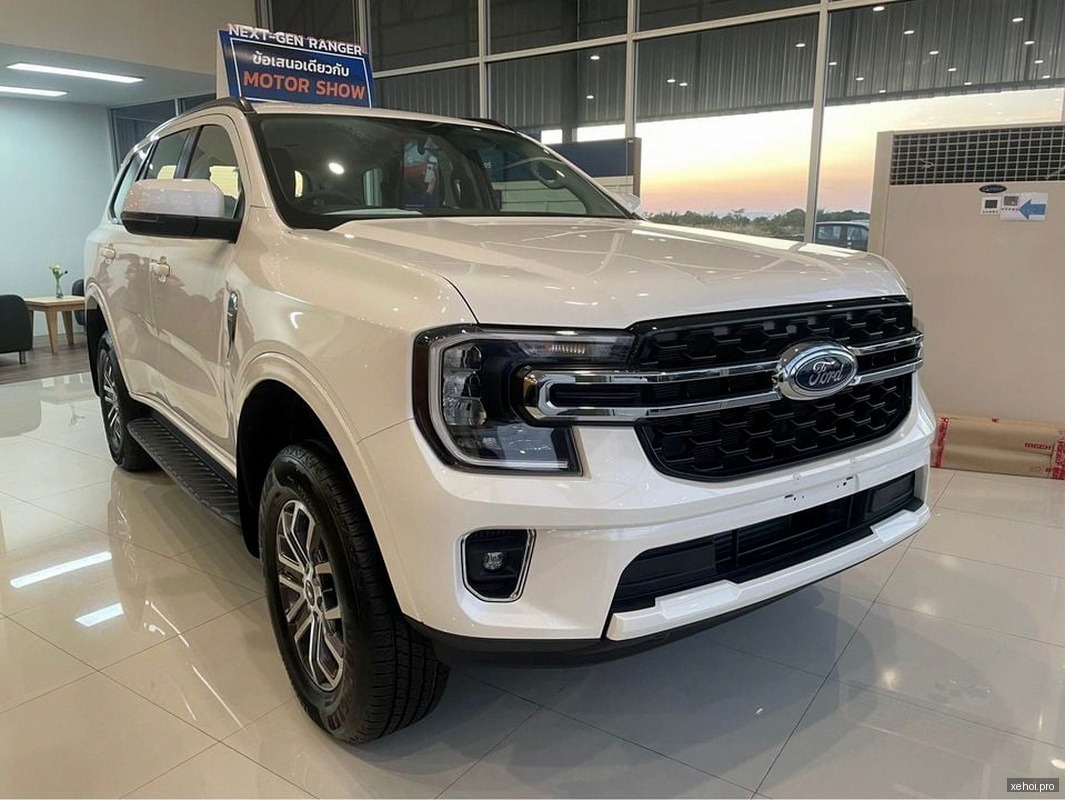 Ford Everest Trend 2.0L 4x2 AT - 2019