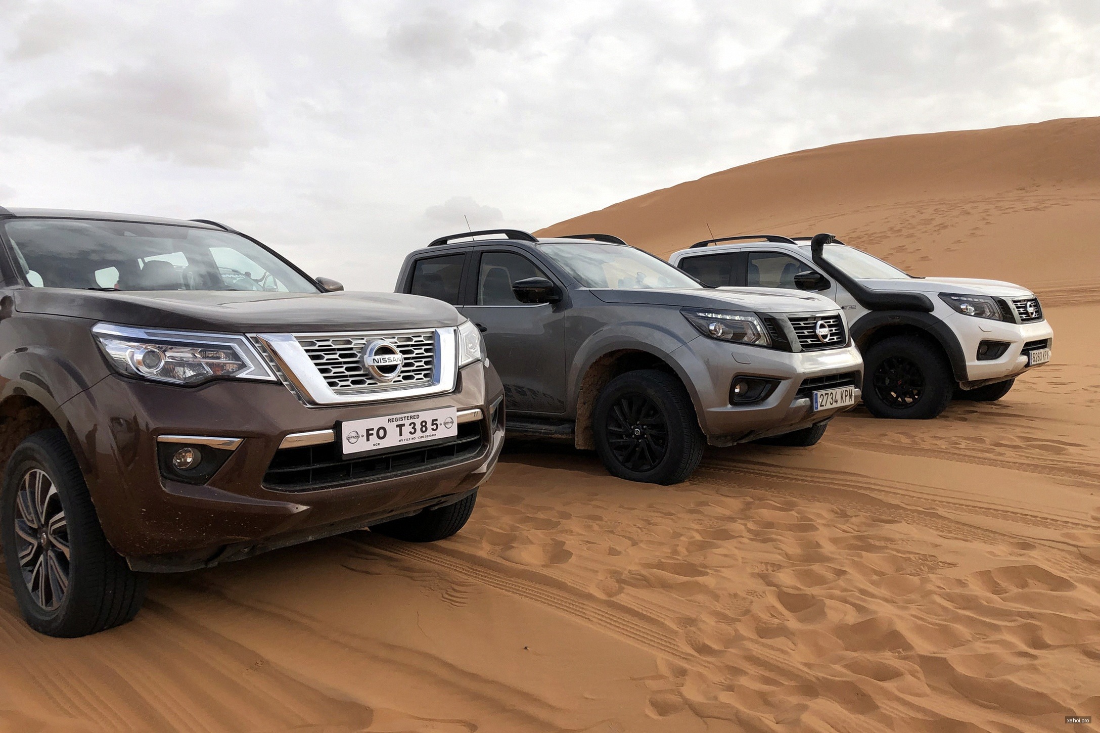 Nissan Terra E 2.5 AT 2WD - 2019