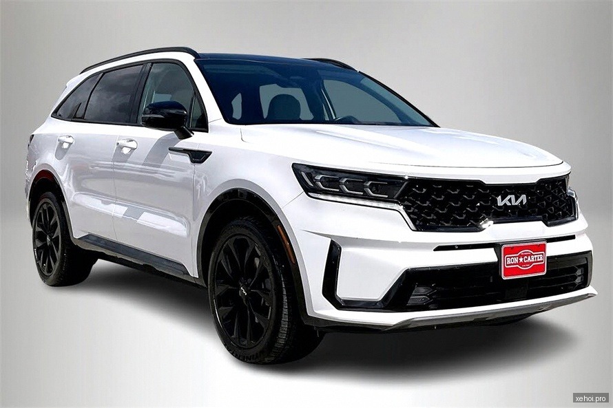 Kia Sorento 2.4 GAT Premium - 2021
