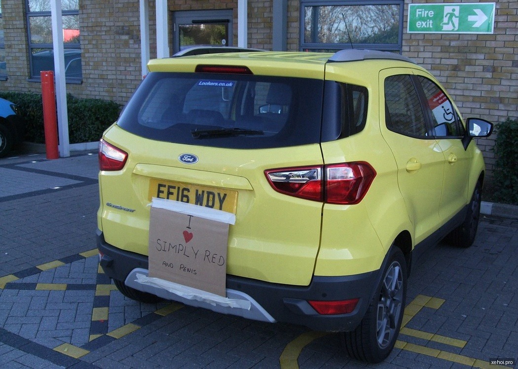 Ford EcoSport Titanium 1.5L AT - 2016