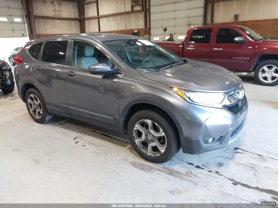 Kia Sedona 2.2 DAT Luxury - 2019