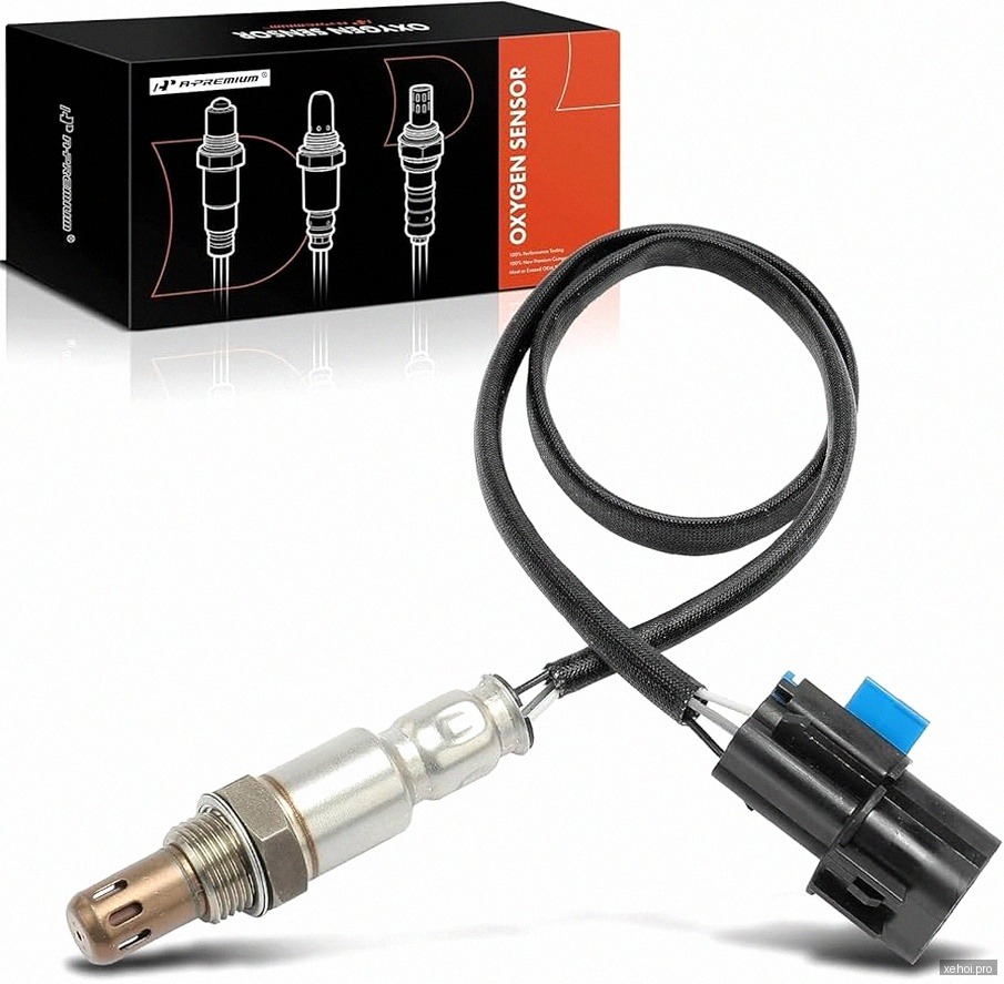 Kia Sedona 3.3 GAT Premium - 2019