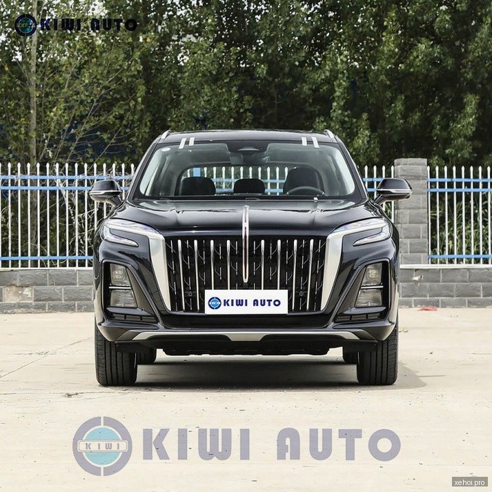 VinFast Lux SA 2.0 Plus 2.0 AT - 2020